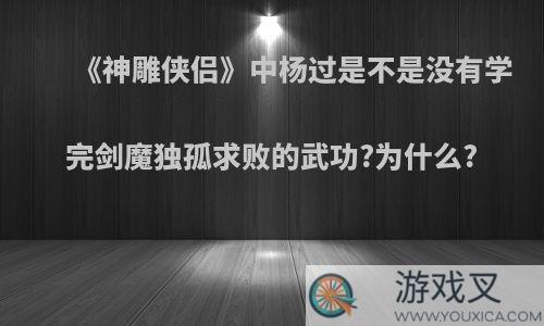 《神雕侠侣》中杨过是不是没有学完剑魔独孤求败的武功?为什么?