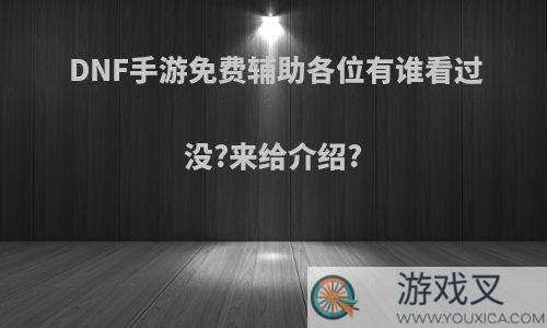 DNF手游免费辅助各位有谁看过没?来给介绍?