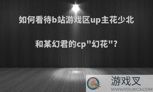 如何看待b站游戏区up主花少北和某幻君的cp