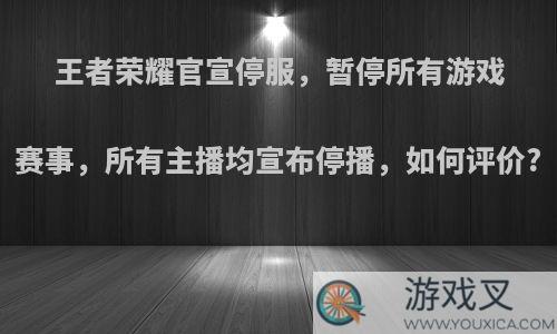 王者荣耀官宣停服，暂停所有游戏赛事，所有主播均宣布停播，如何评价?