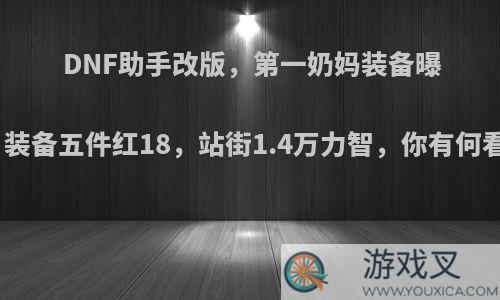 DNF助手改版，第一奶妈装备曝光，装备五件红18，站街1.4万力智，你有何看法?