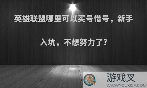 英雄联盟哪里可以买号借号，新手入坑，不想努力了?