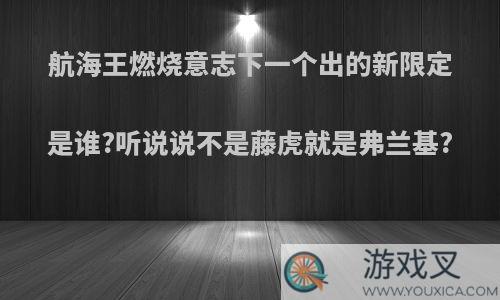 航海王燃烧意志下一个出的新限定是谁?听说说不是藤虎就是弗兰基?