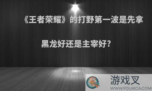 《王者荣耀》的打野第一波是先拿黑龙好还是主宰好?