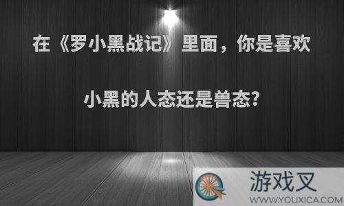 在《罗小黑战记》里面，你是喜欢小黑的人态还是兽态?