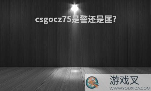 csgocz75是警还是匪?