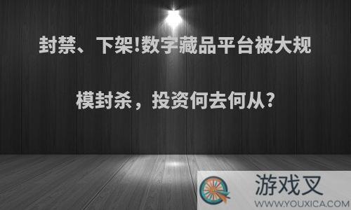 封禁、下架!数字藏品平台被大规模封杀，投资何去何从?