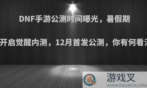 DNF手游公测时间曝光，暑假期间开启觉醒内测，12月首发公测，你有何看法?