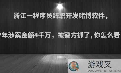 浙江一程序员辞职开发赌博软件，2年涉案金额4千万，被警方抓了, 你怎么看?