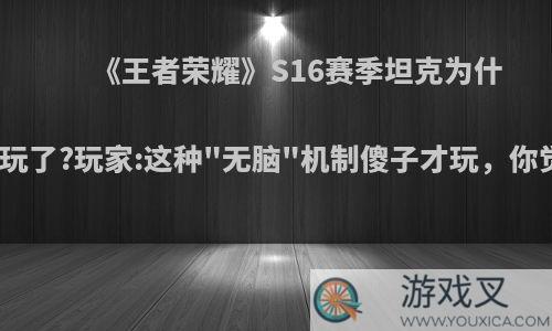 《王者荣耀》S16赛季坦克为什么没人玩了?玩家:这种