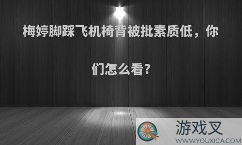 梅婷脚踩飞机椅背被批素质低，你们怎么看?