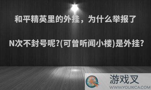 和平精英里的外挂，为什么举报了N次不封号呢?(可曾听闻小楼)是外挂?