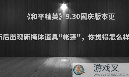 《和平精英》9.30国庆版本更新后出现新掩体道具