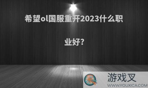 希望ol国服重开2023什么职业好?