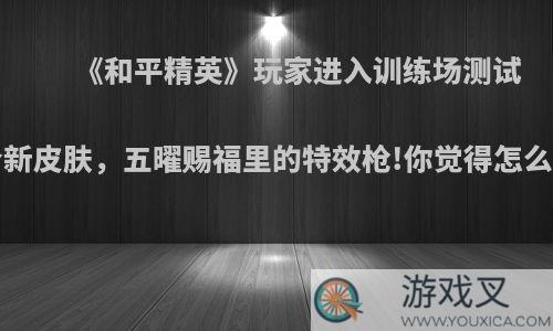 《和平精英》玩家进入训练场测试3个新皮肤，五曜赐福里的特效枪!你觉得怎么样?
