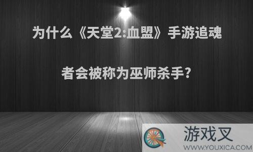 为什么《天堂2:血盟》手游追魂者会被称为巫师杀手?