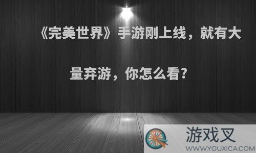 《完美世界》手游刚上线，就有大量弃游，你怎么看?