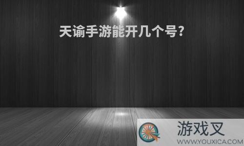 天谕手游能开几个号?