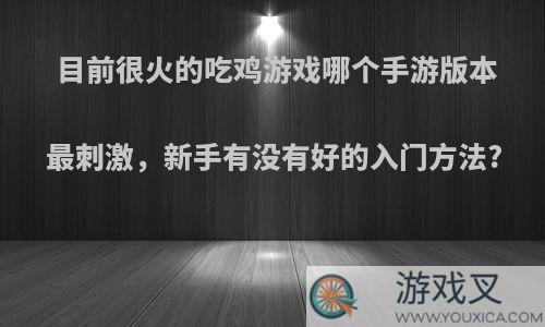 目前很火的吃鸡游戏哪个手游版本最刺激，新手有没有好的入门方法?