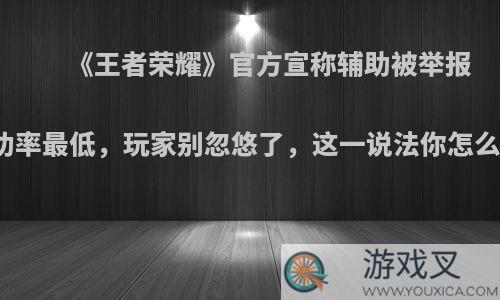 《王者荣耀》官方宣称辅助被举报的成功率最低，玩家别忽悠了，这一说法你怎么看呢?