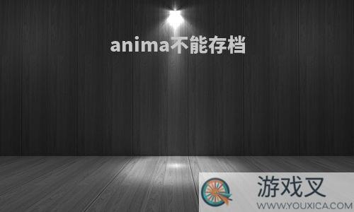 anima不能存档