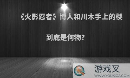 《火影忍者》博人和川木手上的楔到底是何物?