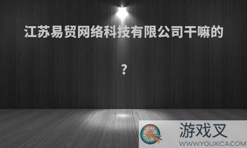 江苏易贸网络科技有限公司干嘛的?