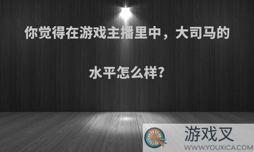 你觉得在游戏主播里中，大司马的水平怎么样?