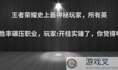 王者荣耀史上最神秘玩家，所有英雄胜率碾压职业，玩家:开挂实锤了，你觉得呢?