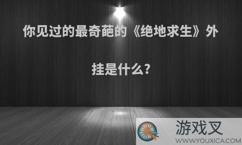 你见过的最奇葩的《绝地求生》外挂是什么?