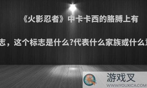 《火影忍者》中卡卡西的胳膊上有个标志，这个标志是什么?代表什么家族或什么意志?