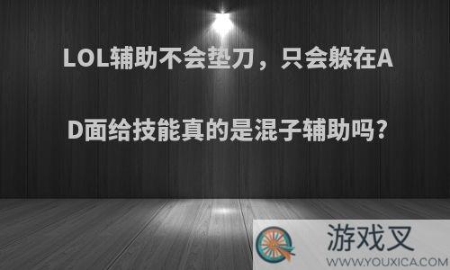 LOL辅助不会垫刀，只会躲在AD面给技能真的是混子辅助吗?