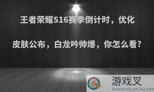 王者荣耀S16赛季倒计时，优化皮肤公布，白龙吟帅爆，你怎么看?