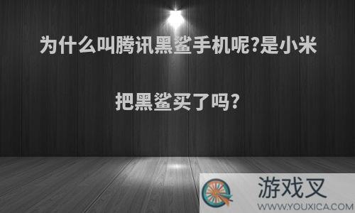 为什么叫腾讯黑鲨手机呢?是小米把黑鲨买了吗?