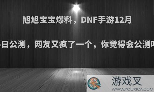 旭旭宝宝爆料，DNF手游12月25日公测，网友又疯了一个，你觉得会公测吗?