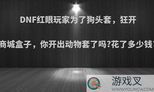 DNF红眼玩家为了狗头套，狂开商城盒子，你开出动物套了吗?花了多少钱?