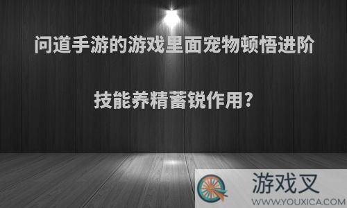 问道手游的游戏里面宠物顿悟进阶技能养精蓄锐作用?