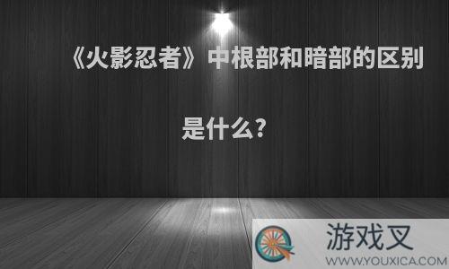 《火影忍者》中根部和暗部的区别是什么?