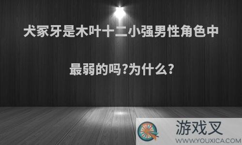 犬冢牙是木叶十二小强男性角色中最弱的吗?为什么?