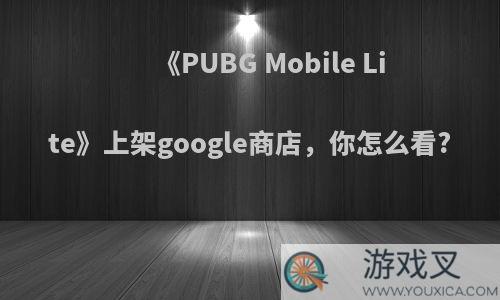 《PUBG Mobile Lite》上架google商店，你怎么看?