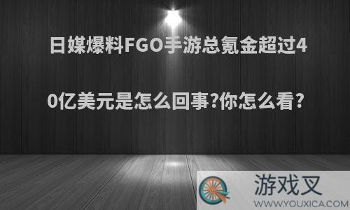 日媒爆料FGO手游总氪金超过40亿美元是怎么回事?你怎么看?