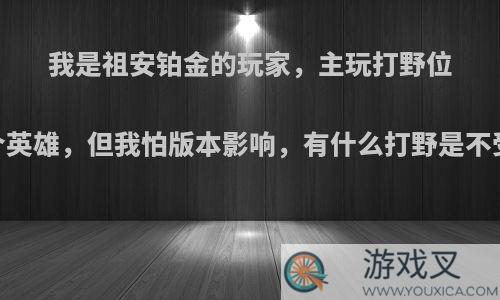 我是祖安铂金的玩家，主玩打野位，想一直练一个英雄，但我怕版本影响，有什么打野是不受版本影响的啊?