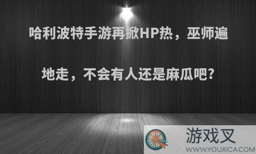 哈利波特手游再掀HP热，巫师遍地走，不会有人还是麻瓜吧?