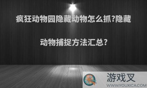 疯狂动物园隐藏动物怎么抓?隐藏动物捕捉方法汇总?