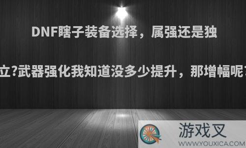 DNF瞎子装备选择，属强还是独立?武器强化我知道没多少提升，那增幅呢?