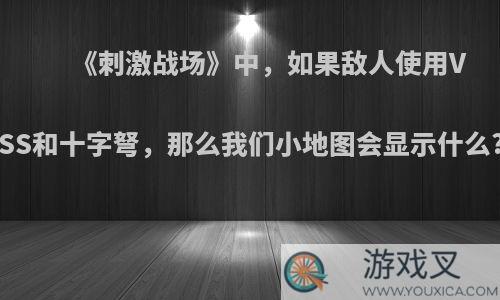 《刺激战场》中，如果敌人使用VSS和十字弩，那么我们小地图会显示什么?