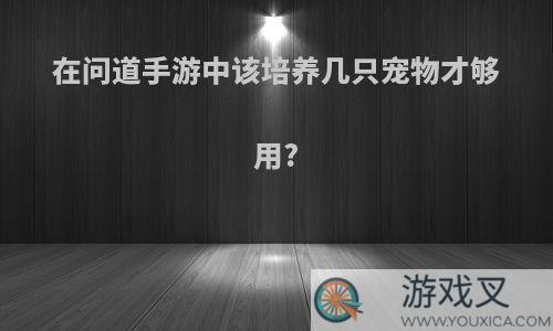 在问道手游中该培养几只宠物才够用?