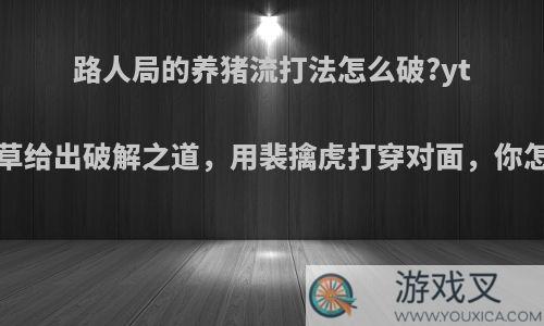 路人局的养猪流打法怎么破?ytg望月草给出破解之道，用裴擒虎打穿对面，你怎么看?