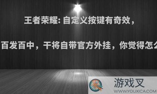 王者荣耀: 自定义按键有奇效，守约百发百中，干将自带官方外挂，你觉得怎么样?