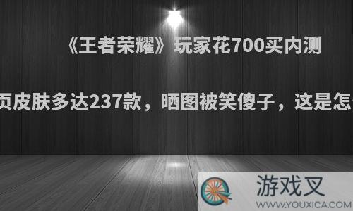 《王者荣耀》玩家花700买内测号，主页皮肤多达237款，晒图被笑傻子，这是怎么回事?